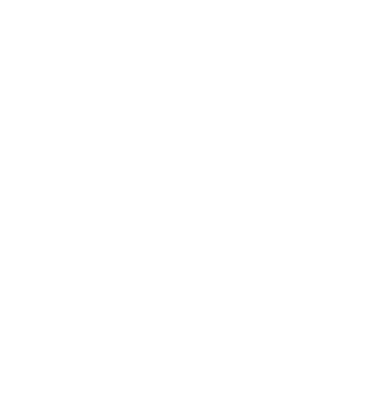 ROIDAL